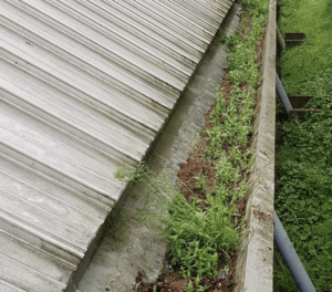 Happy customers in Farnborough who trust The Roof Moss Cleaners for gutter cleaning services